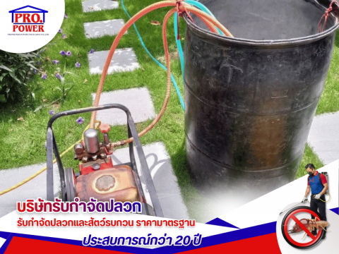 กำจัดเห็บ หมัด พร้อมฆ่าเชื้อแบคทีเรีย บ้านเลี้ยงหมาแมว